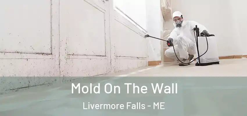  Mold On The Wall Livermore Falls - ME