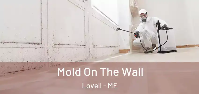  Mold On The Wall Lovell - ME