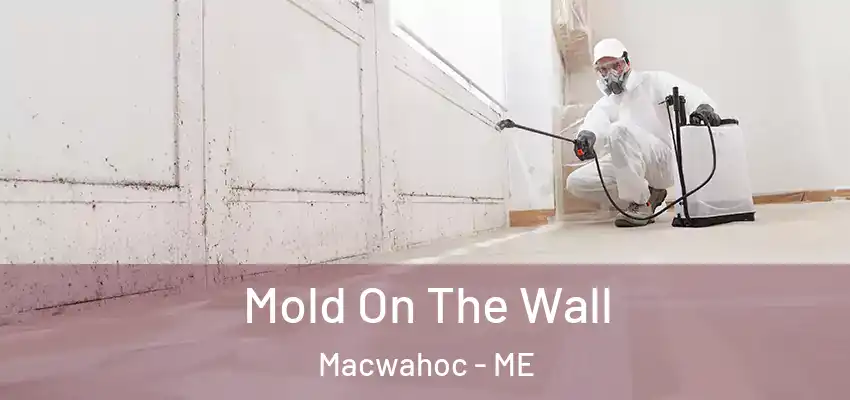 Mold On The Wall Macwahoc - ME