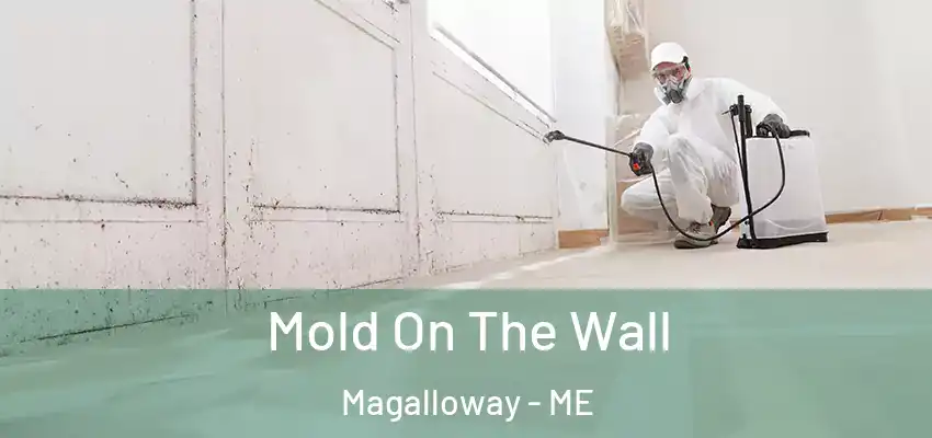 Mold On The Wall Magalloway - ME