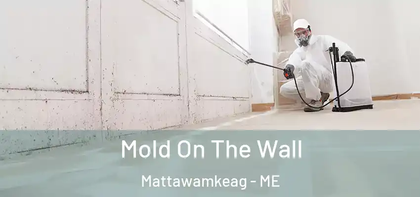  Mold On The Wall Mattawamkeag - ME