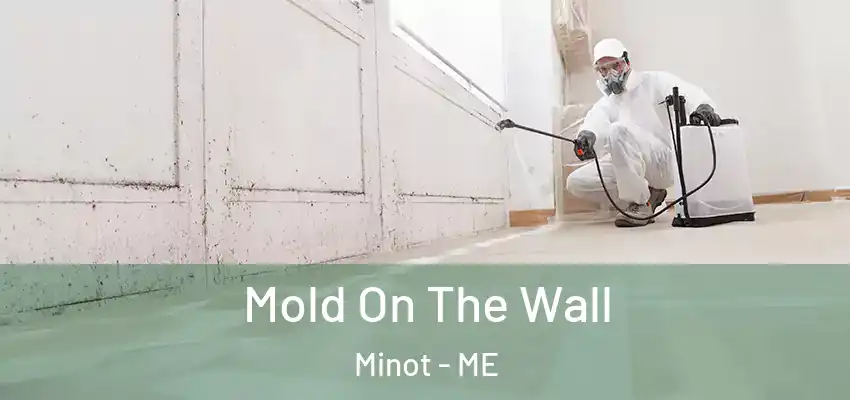 Mold On The Wall Minot - ME