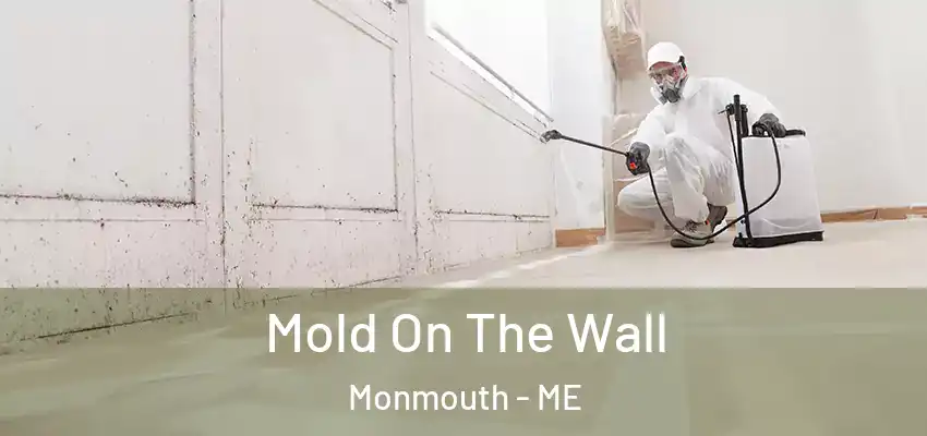 Mold On The Wall Monmouth - ME