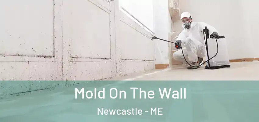  Mold On The Wall Newcastle - ME