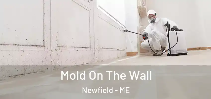 Mold On The Wall Newfield - ME