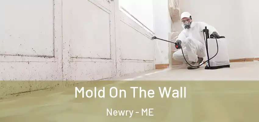  Mold On The Wall Newry - ME