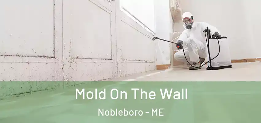  Mold On The Wall Nobleboro - ME