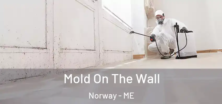  Mold On The Wall Norway - ME