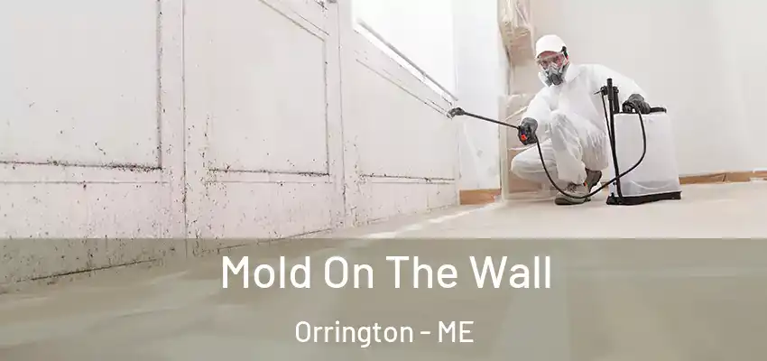  Mold On The Wall Orrington - ME