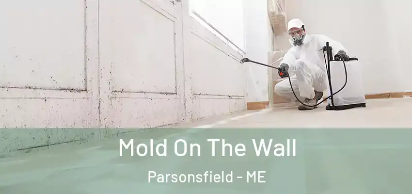 Mold On The Wall Parsonsfield - ME