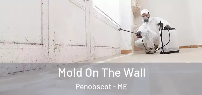  Mold On The Wall Penobscot - ME