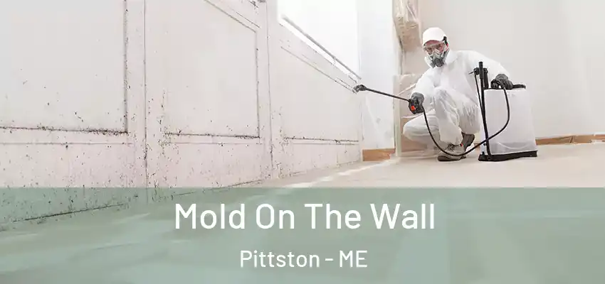  Mold On The Wall Pittston - ME