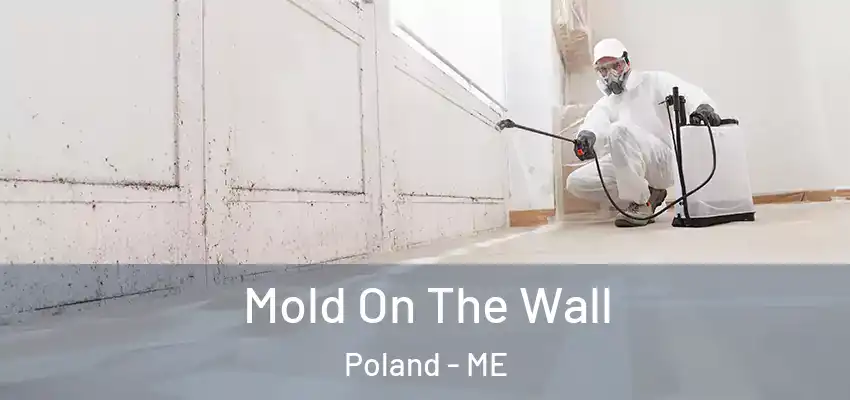 Mold On The Wall Poland - ME