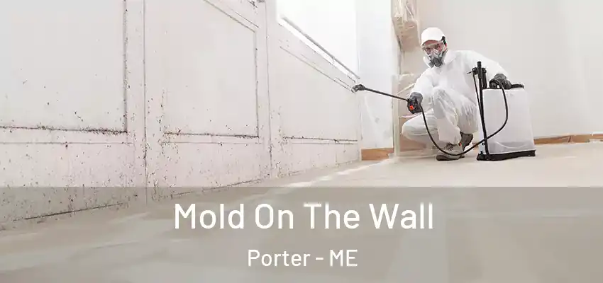  Mold On The Wall Porter - ME