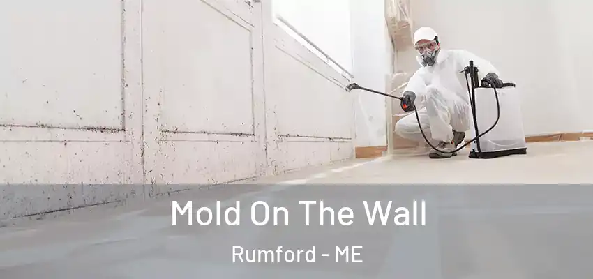  Mold On The Wall Rumford - ME