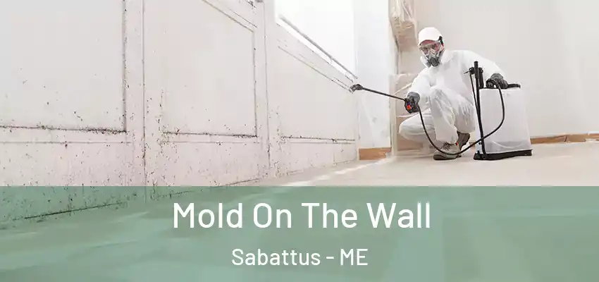 Mold On The Wall Sabattus - ME