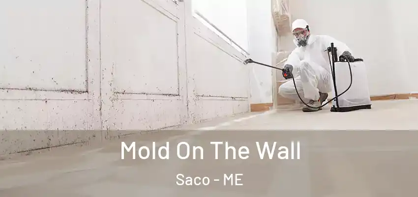  Mold On The Wall Saco - ME