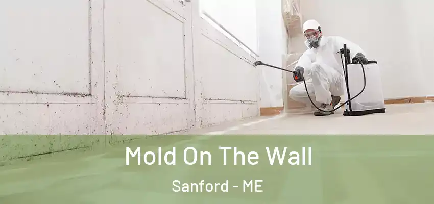 Mold On The Wall Sanford - ME