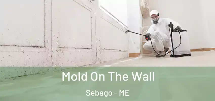 Mold On The Wall Sebago - ME