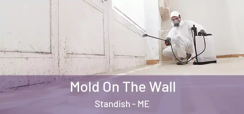  Mold On The Wall Standish - ME