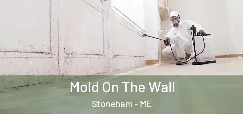 Mold On The Wall Stoneham - ME
