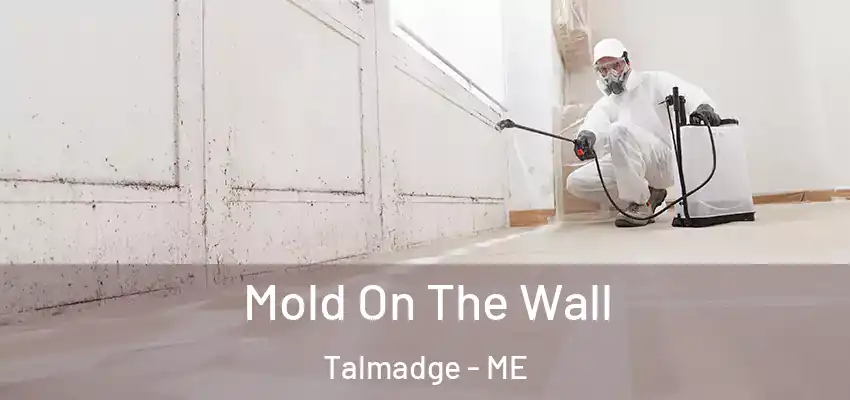  Mold On The Wall Talmadge - ME