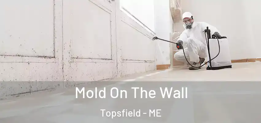  Mold On The Wall Topsfield - ME