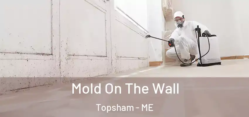  Mold On The Wall Topsham - ME