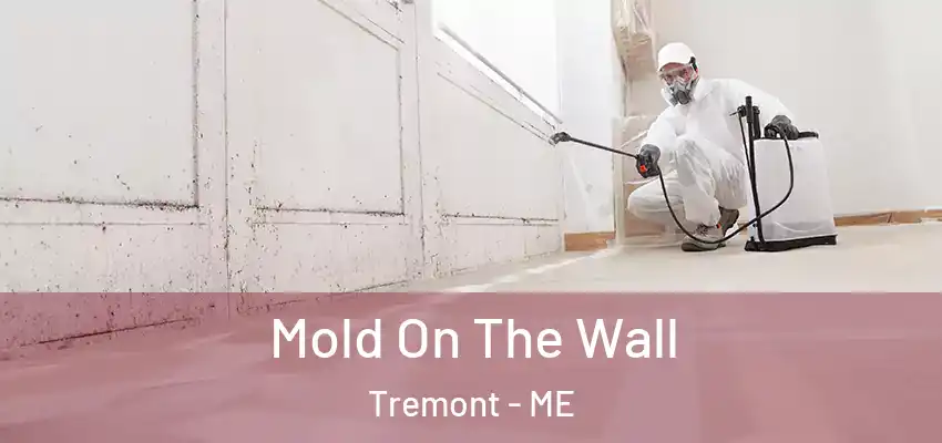 Mold On The Wall Tremont - ME