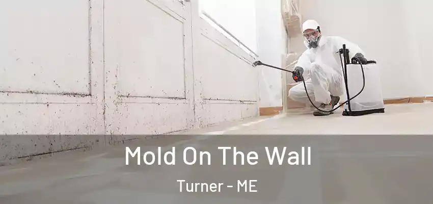 Mold On The Wall Turner - ME