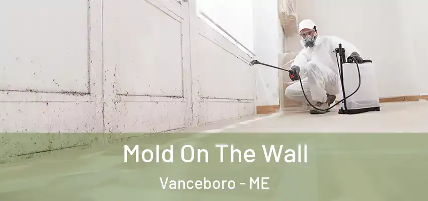  Mold On The Wall Vanceboro - ME