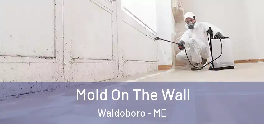 Mold On The Wall Waldoboro - ME