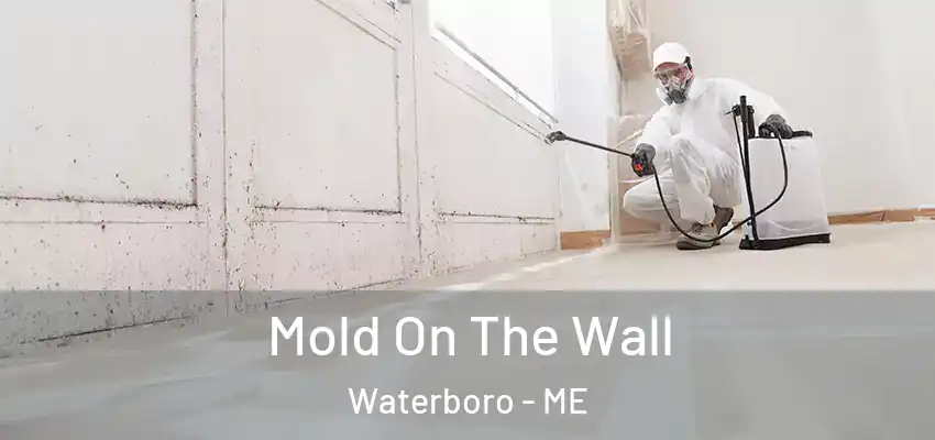 Mold On The Wall Waterboro - ME