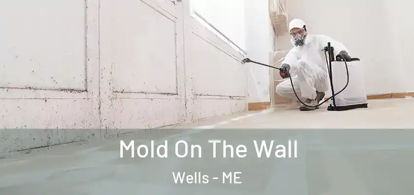 Mold On The Wall Wells - ME