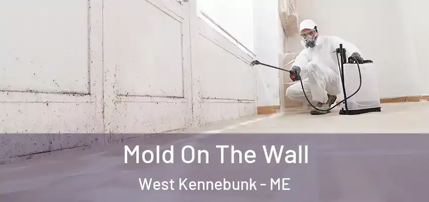  Mold On The Wall West Kennebunk - ME