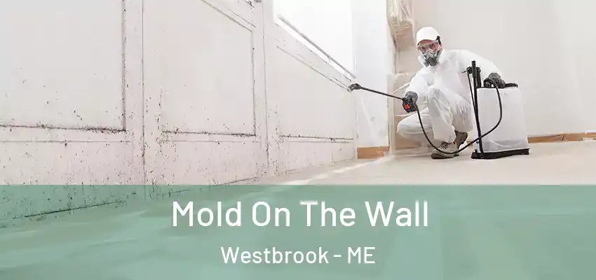 Mold On The Wall Westbrook - ME
