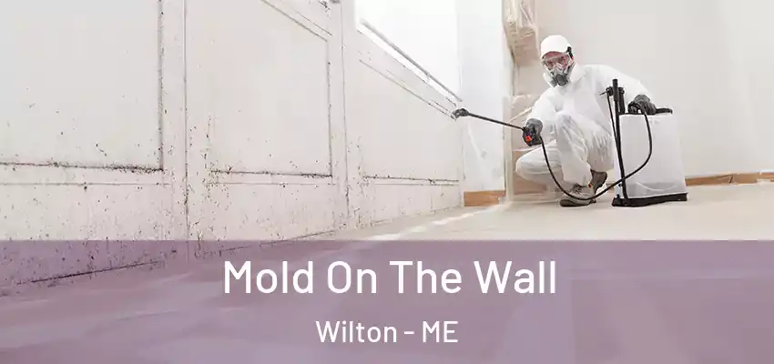 Mold On The Wall Wilton - ME