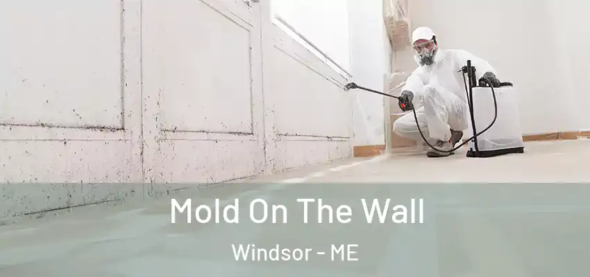  Mold On The Wall Windsor - ME