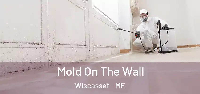  Mold On The Wall Wiscasset - ME