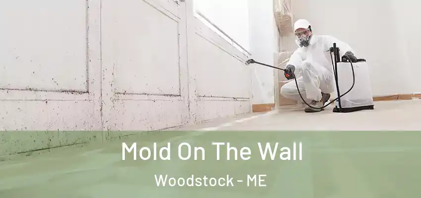  Mold On The Wall Woodstock - ME