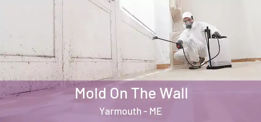 Mold On The Wall Yarmouth - ME