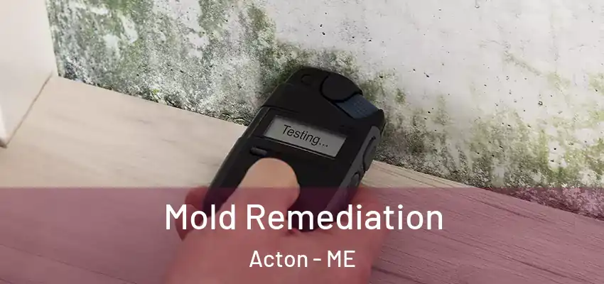 Mold Remediation Acton - ME