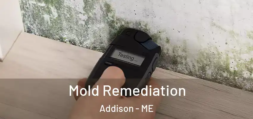 Mold Remediation Addison - ME