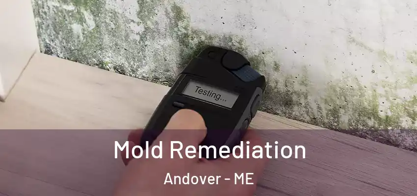  Mold Remediation Andover - ME