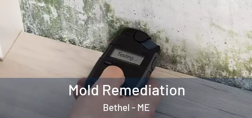  Mold Remediation Bethel - ME