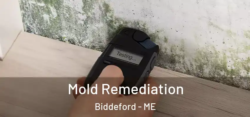  Mold Remediation Biddeford - ME