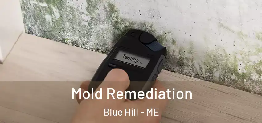 Mold Remediation Blue Hill - ME