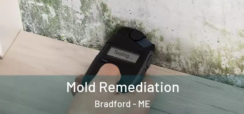 Mold Remediation Bradford - ME