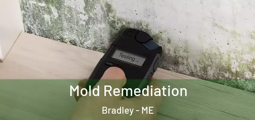  Mold Remediation Bradley - ME