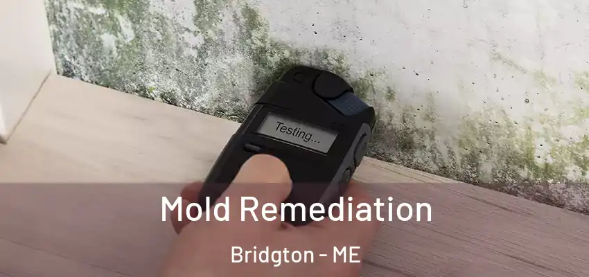 Mold Remediation Bridgton - ME